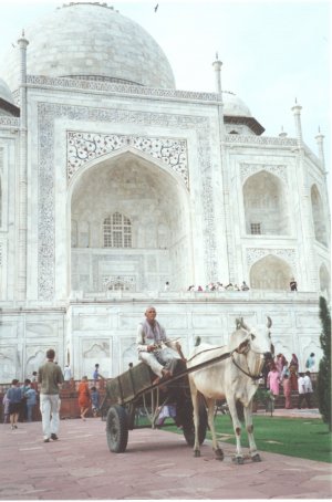 Agra2.jpg