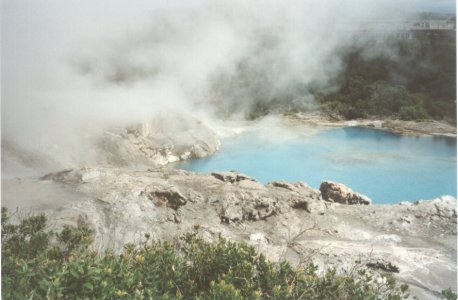 Rotorua2.jpg