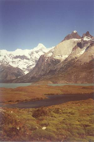 Cuernos3.jpg