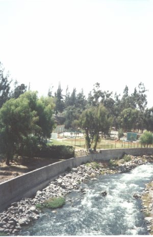 Areq3.jpg